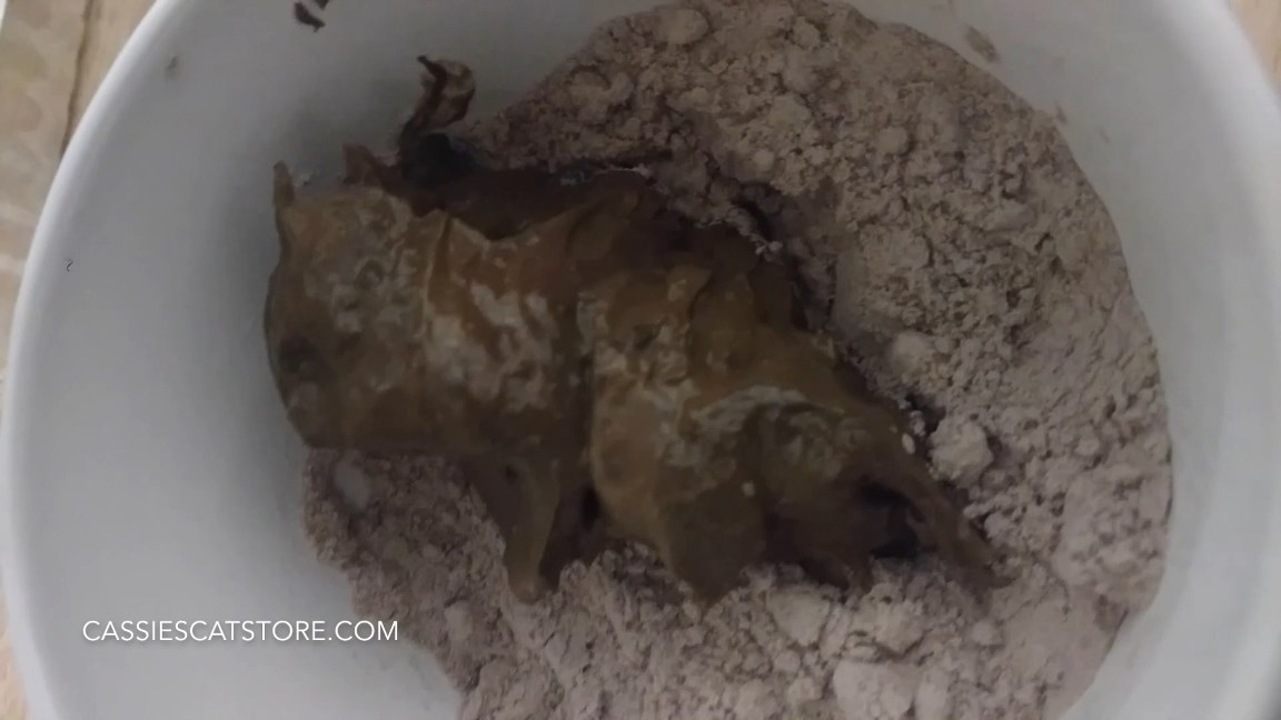 CassieScat – Poo Chocolate Cake with Sexy Eating Encouragement thisvid scat_net